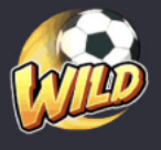 Shaolin-Soccer-wild